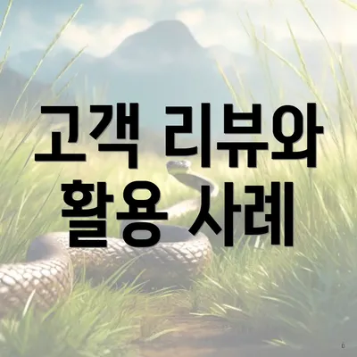 고객 리뷰와 활용 사례
