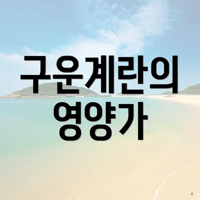 구운계란의 영양가