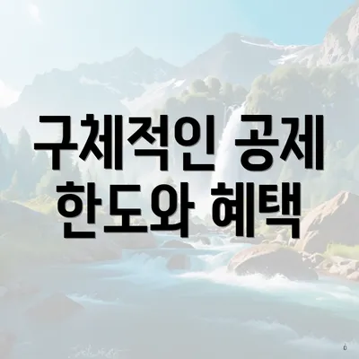 구체적인 공제 한도와 혜택