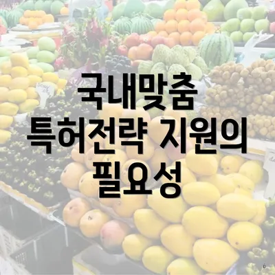 국내맞춤 특허전략 지원의 필요성