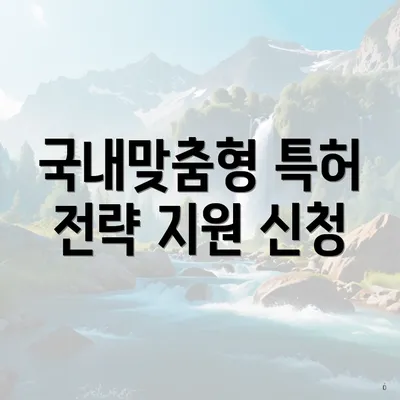 국내맞춤형 특허 전략 지원 신청