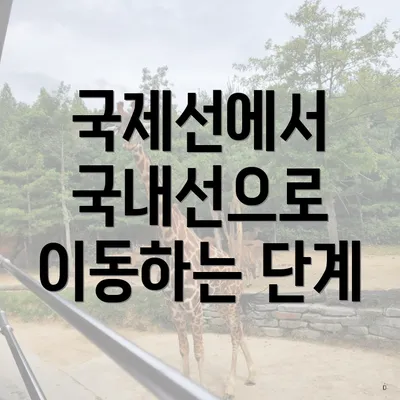 국제선에서 국내선으로 이동하는 단계