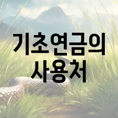 기초연금의 사용처