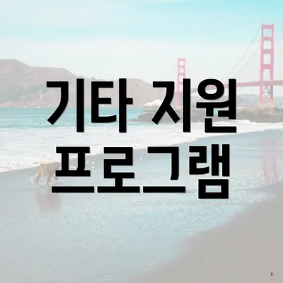 기타 지원 프로그램