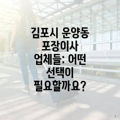 김포시 운양동 포장이사 업체들: 어떤 선택이 필요할까요?