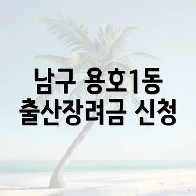 남구 용호1동 출산장려금 신청