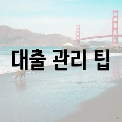 대출 관리 팁