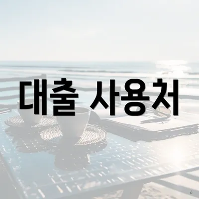 대출 사용처