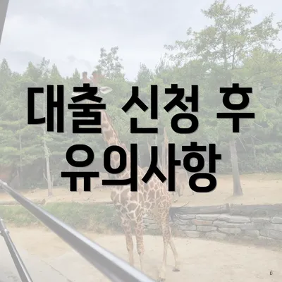 대출 신청 후 유의사항