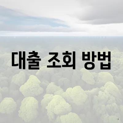 대출 조회 방법
