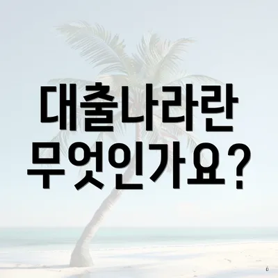 대출나라란 무엇인가요?