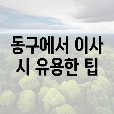 동구에서 이사 시 유용한 팁
