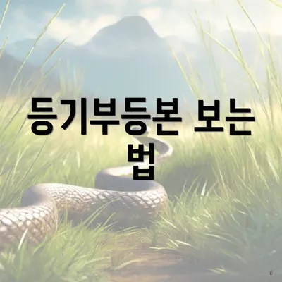 등기부등본 보는 법