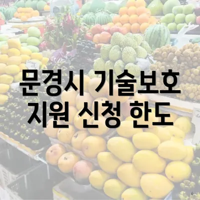 문경시 기술보호 지원 신청 한도