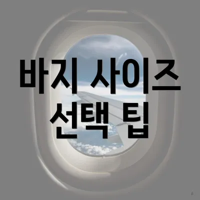 바지 사이즈 선택 팁