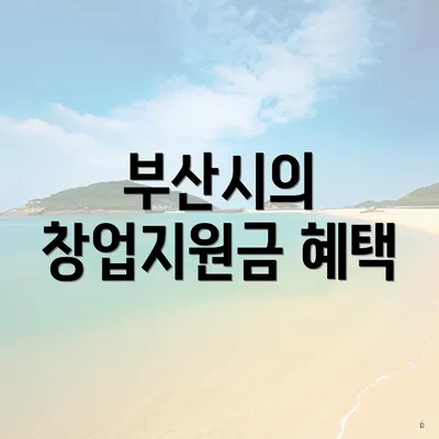 부산시의 창업지원금 혜택