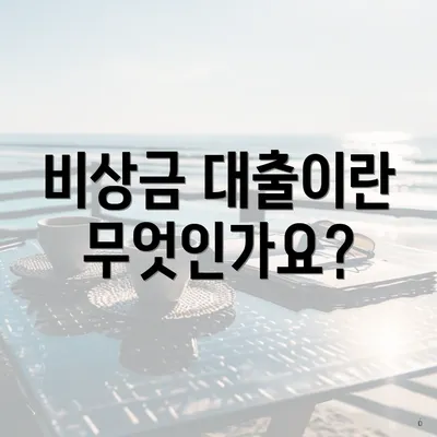 비상금 대출이란 무엇인가요?
