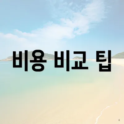 비용 비교 팁