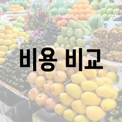 비용 비교