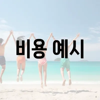 비용 예시