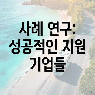 사례 연구: 성공적인 지원 기업들