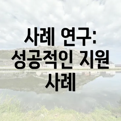 사례 연구: 성공적인 지원 사례