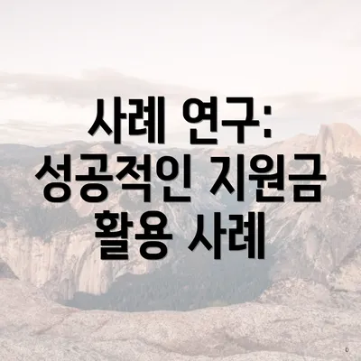 사례 연구: 성공적인 지원금 활용 사례