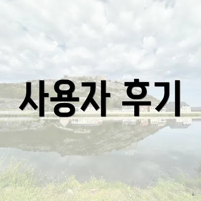 사용자 후기