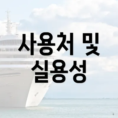 사용처 및 실용성