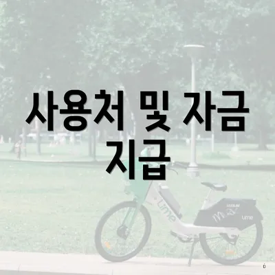 사용처 및 자금 지급