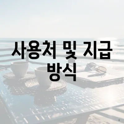 사용처 및 지급 방식