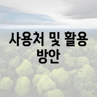 사용처 및 활용 방안