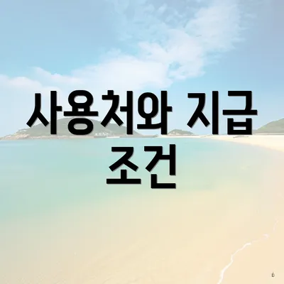 사용처와 지급 조건