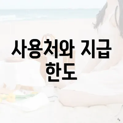 사용처와 지급 한도