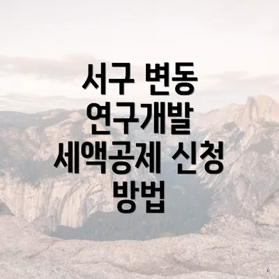 서구 변동 연구개발 세액공제 신청 방법