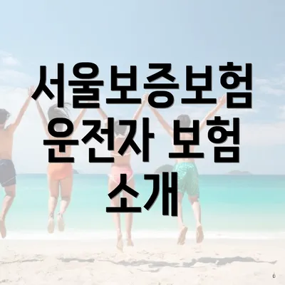서울보증보험 운전자 보험 소개