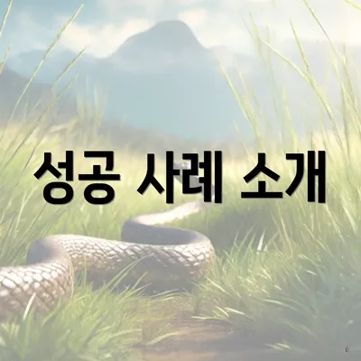 성공 사례 소개