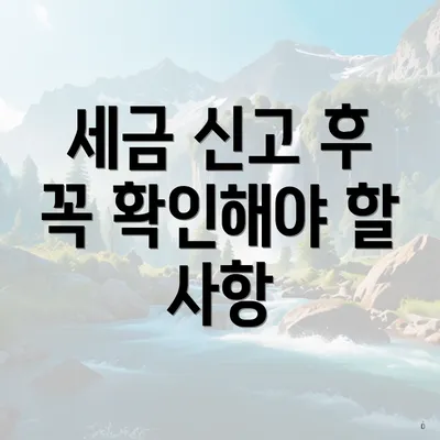 세금 신고 후 꼭 확인해야 할 사항