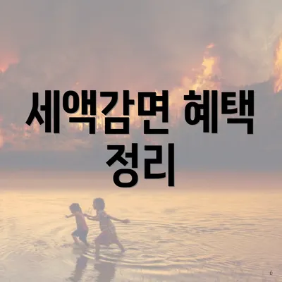 세액감면 혜택 정리