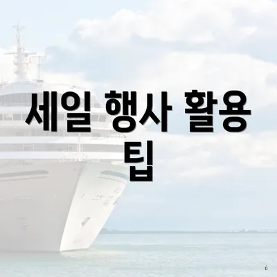 세일 행사 활용 팁