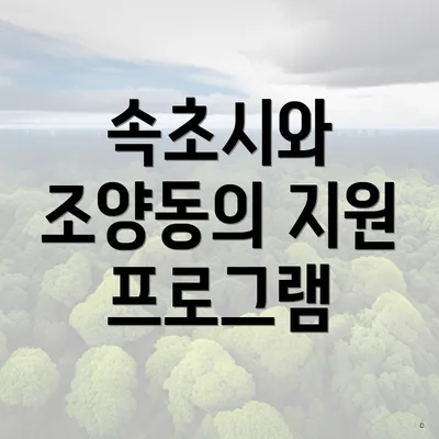 속초시와 조양동의 지원 프로그램