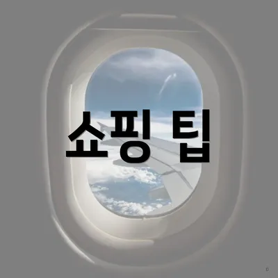 쇼핑 팁