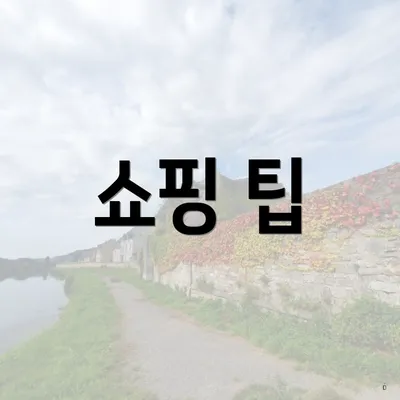 쇼핑 팁