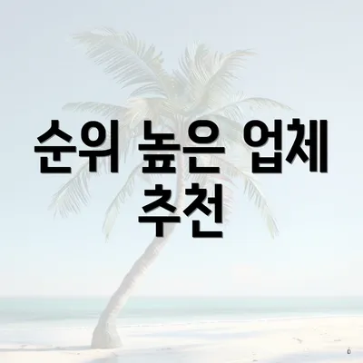 순위 높은 업체 추천