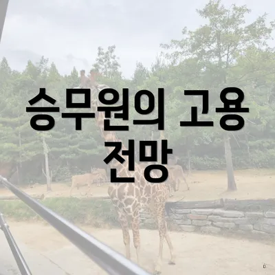 승무원의 고용 전망