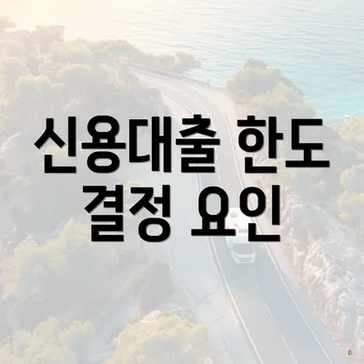 신용대출 한도 결정 요인