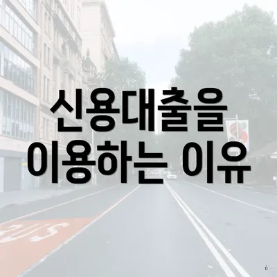 신용대출을 이용하는 이유