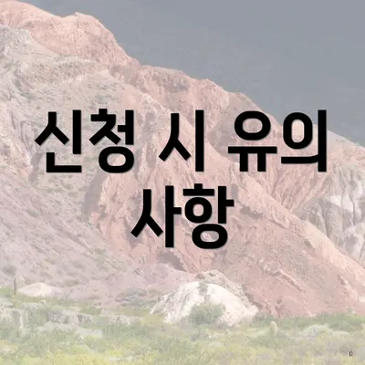 신청 시 유의 사항