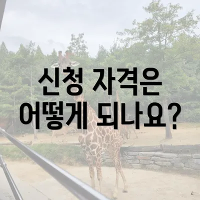 신청 자격은 어떻게 되나요?
