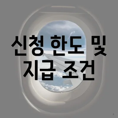 신청 한도 및 지급 조건